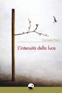 L'intensità della luce