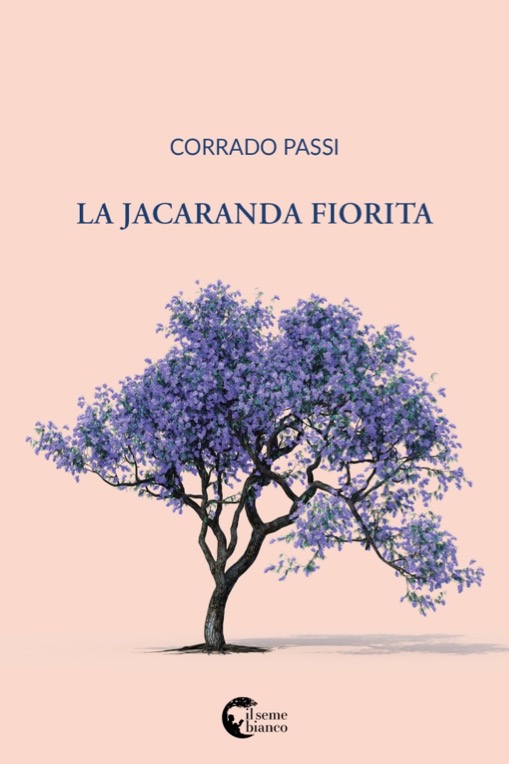 La jacaranda fiorita